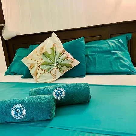 Plantation Surf Inn & Restaurant - Midigama-3